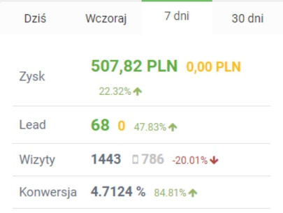 Profesjonalna pomoc i mentoring w zarabianiu na afiliacji.